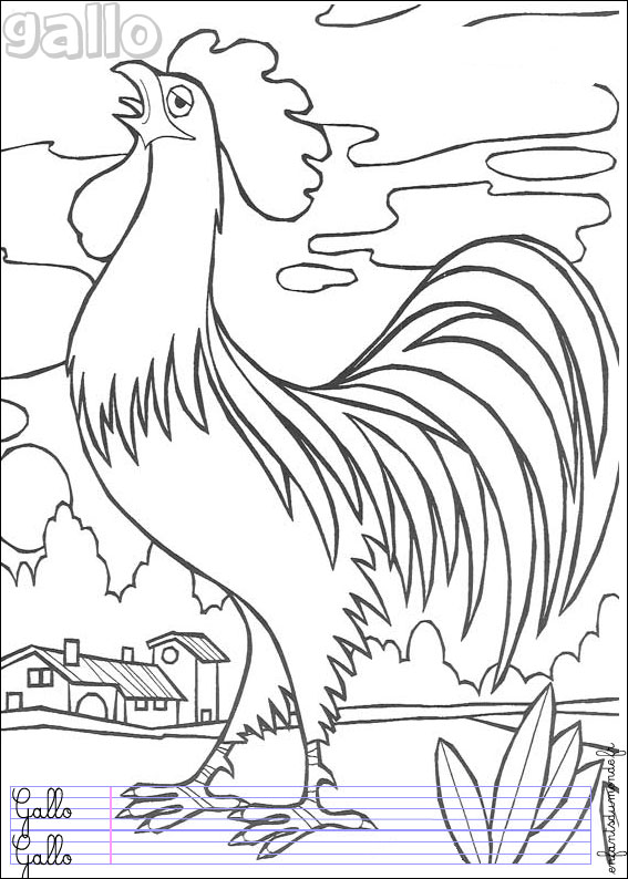 coloriage coq 1